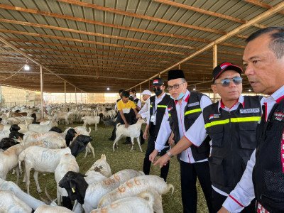 Kemenhaj Sambut Fatwa Muhammadiyah soal Penyembelihan Dam Haji di Tanah Air